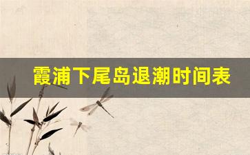 霞浦下尾岛退潮时间表2023_霞浦小皓潮涨潮落时间