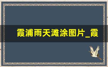 霞浦雨天滩涂图片_霞浦涵江滩涂