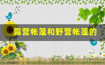 露营帐篷和野营帐篷的区别_普通帐篷可以露营吗