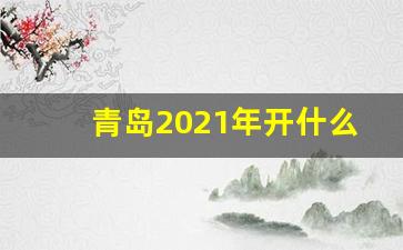 青岛2021年开什么峰会