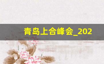 青岛上合峰会_2023年青岛6月13日上合会议