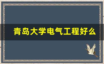 青岛大学电气工程好么