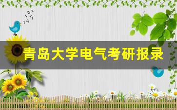 青岛大学电气考研报录比