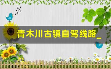 青木川古镇自驾线路_汉中到青木川最佳路线