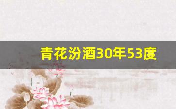 青花汾酒30年53度价格内供_青花汾酒20年