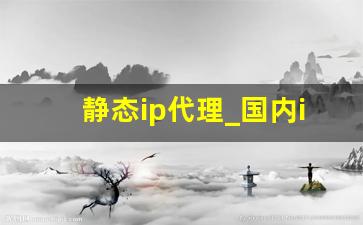 静态ip代理_国内ip地址代理