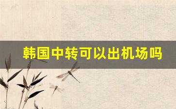 韩国中转可以出机场吗_首尔中转需要过境签证吗