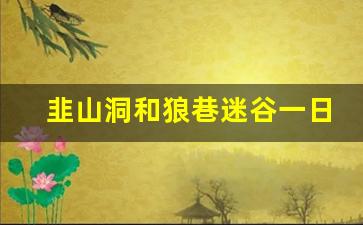 韭山洞和狼巷迷谷一日游_狼巷迷谷离韭山洞有多远