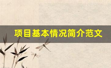 项目基本情况简介范文_项目简介内容模板