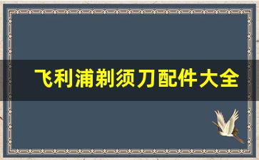 飞利浦剃须刀配件大全及价格