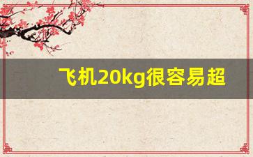 飞机20kg很容易超过吗_20kg行李什么概念