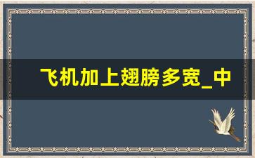 飞机加上翅膀多宽_中型机飞机翅膀一般在多少号座位