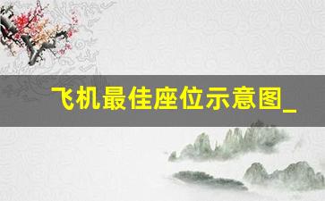 飞机最佳座位示意图_飞机31排到55排座位图