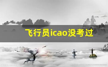 飞行员icao没考过停飞_icao4什么时候考