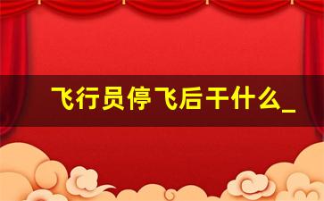 飞行员停飞后干什么_飞行员吊销执照后可以再考吗