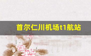 首尔仁川机场t1航站楼攻略_仁川机场t1过夜休息区