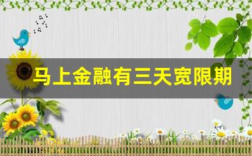 马上金融有三天宽限期吗_马上金融初始还款日和最后还款日