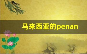 马来西亚的penang是什么意思