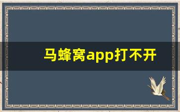 马蜂窝app打不开