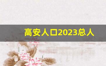 高安人口2023总人数口是多少_高安市大城镇人口