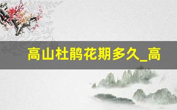 高山杜鹃花期多久_高山杜鹃花品种及图片