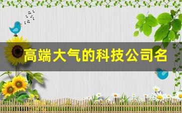 高端大气的科技公司名字_科技公司名字起名大全免费