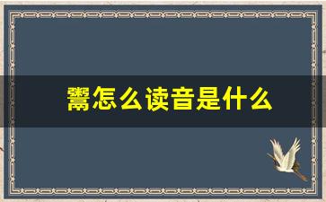 鬻怎么读音是什么