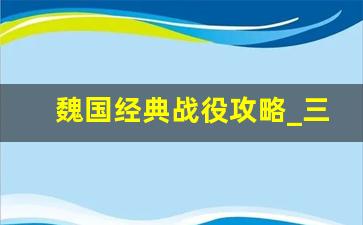 魏国经典战役攻略_三国志魏传攻略67大全