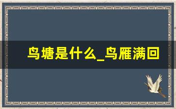 鸟塘是什么_鸟雁满回塘