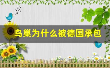 鸟巢为什么被德国承包_建鸟巢死了多少人