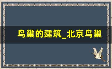 鸟巢的建筑_北京鸟巢的设计理念