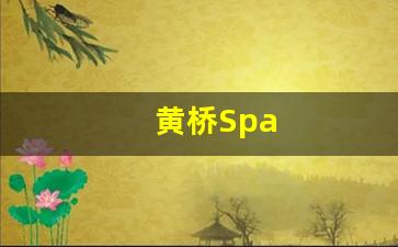 黄桥Spa