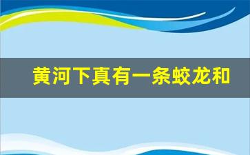 黄河下真有一条蛟龙和老龟_黄河里有大型生物吗