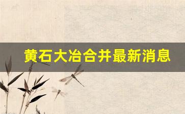 黄石大冶合并最新消息_大冶发展会超过黄石吗