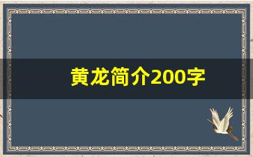 黄龙简介200字