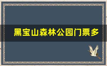 黑宝山森林公园门票多少钱