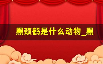 黑颈鹤是什么动物_黑色像鹤一样的鸟