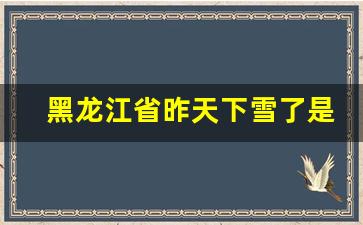 黑龙江省昨天下雪了是真的吗_哈尔滨特大暴雨通知