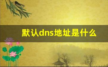 默认dns地址是什么