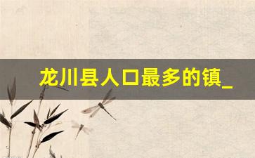 龙川县人口最多的镇_龙川县最富裕的镇排名