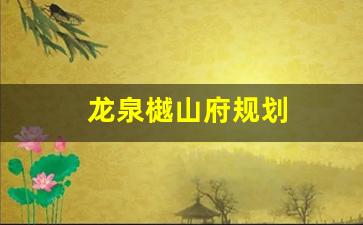 龙泉樾山府规划